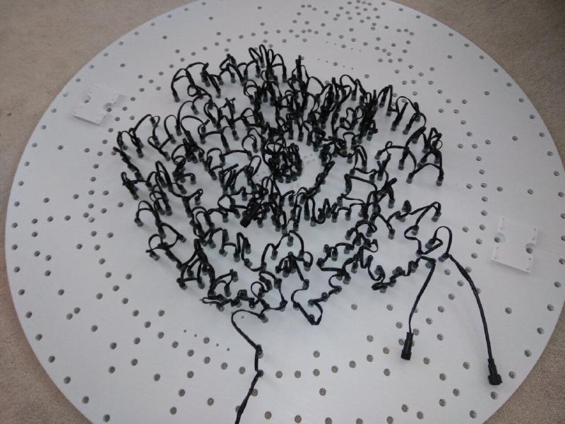 Hattitude Triune